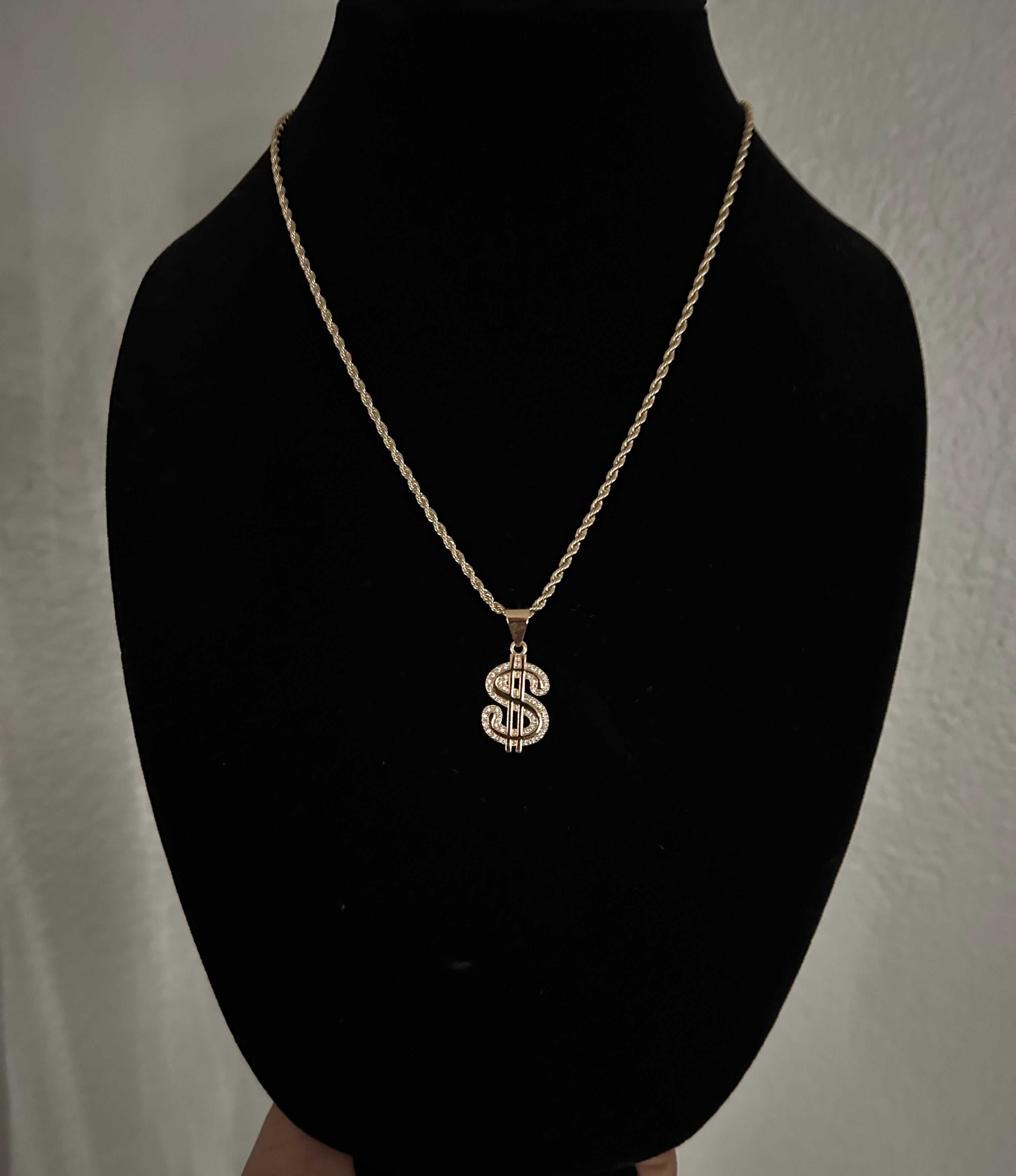 Dollar sign pendant & chain